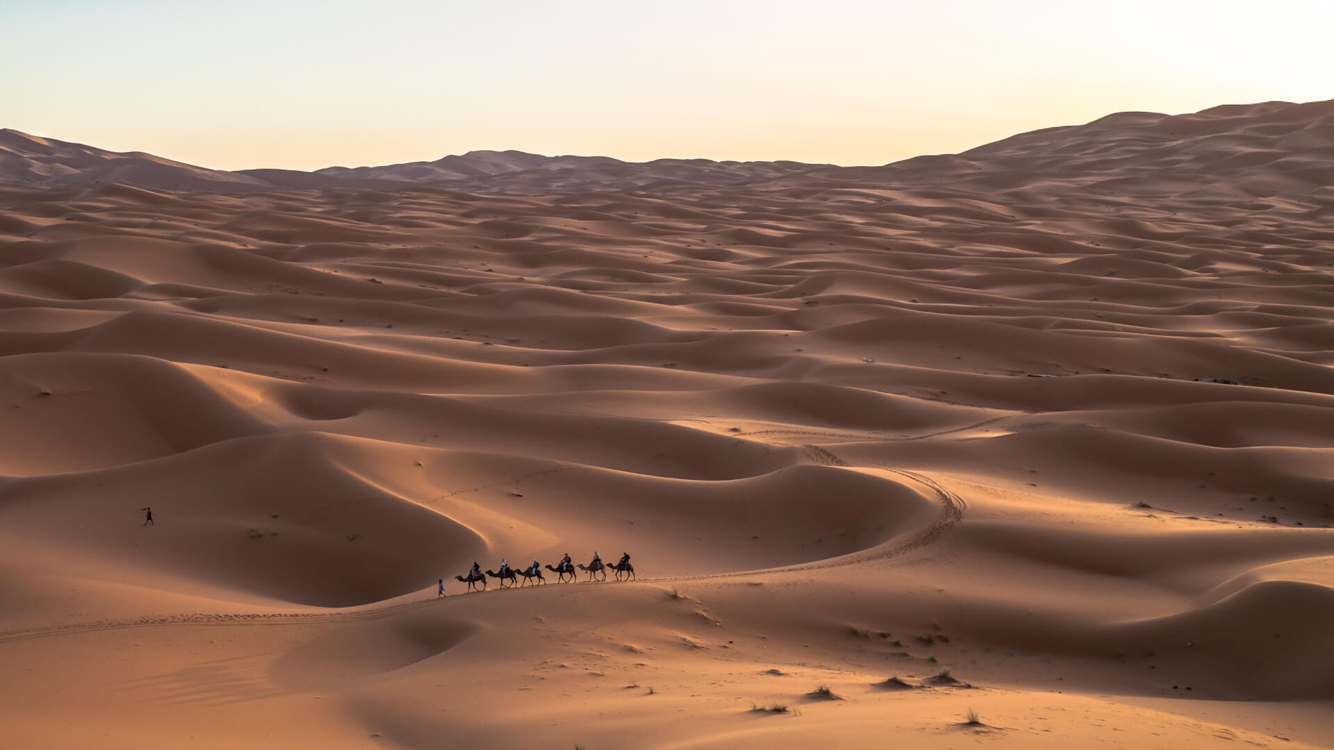 Sand dunes 'communicate' when they move, researchers say - The Washington  Post